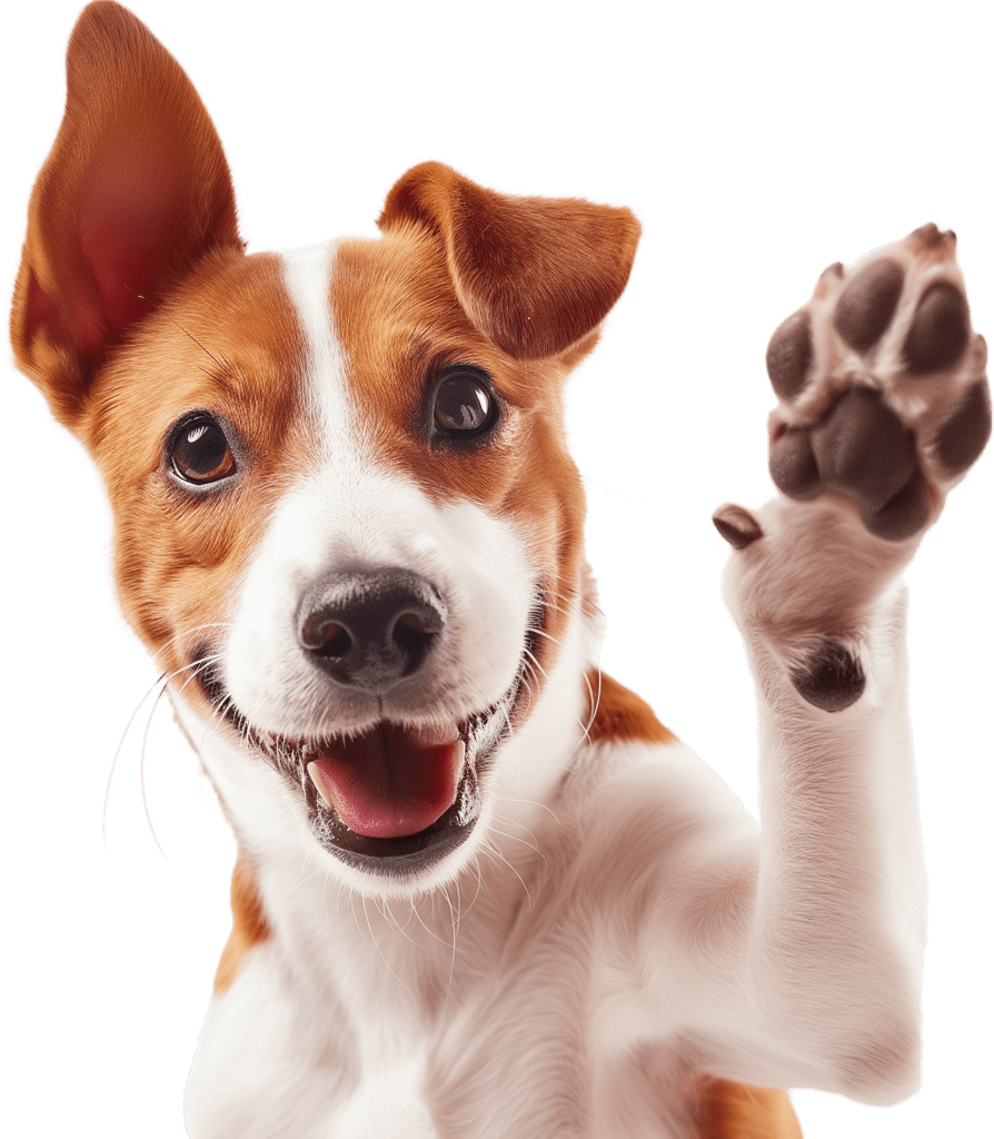 a waving dog